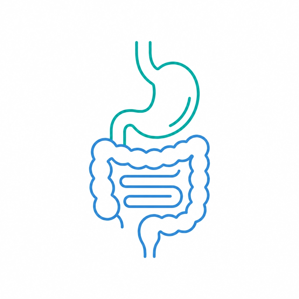 Minimalist icon of the human digestive system in teal and blue line art